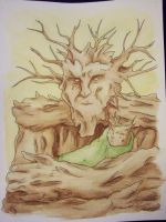 Tree Father